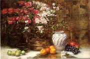 unknow artist Floral, beautiful classical still life of flowers.096 USA oil painting reproduction